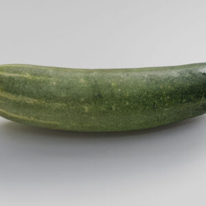 Cucumber
